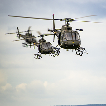 Fennec under navigationstræning