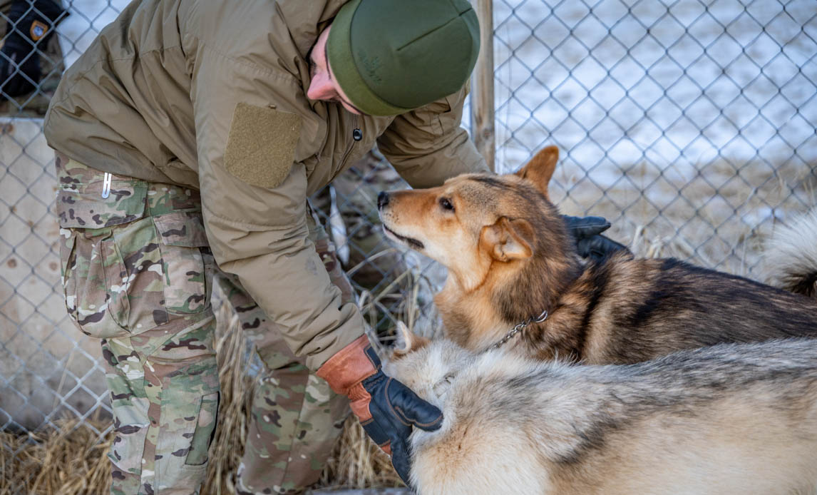 Soldat sammen med slædehund i Grønland