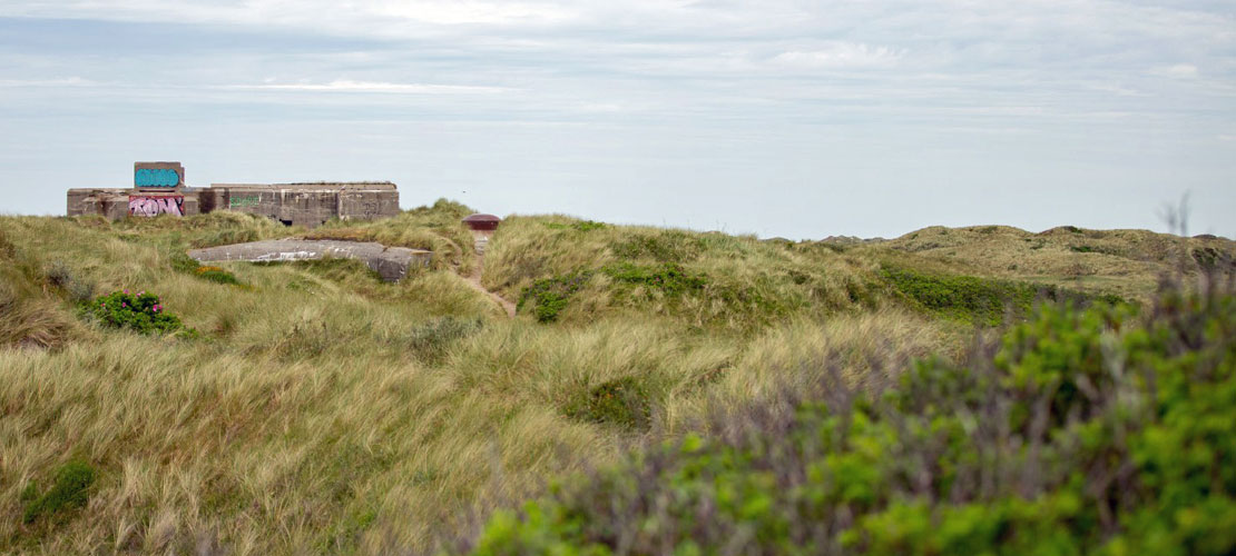 Naturen omkring Oksbøl med bl.a. klitlandskaber og gamle bunkere.