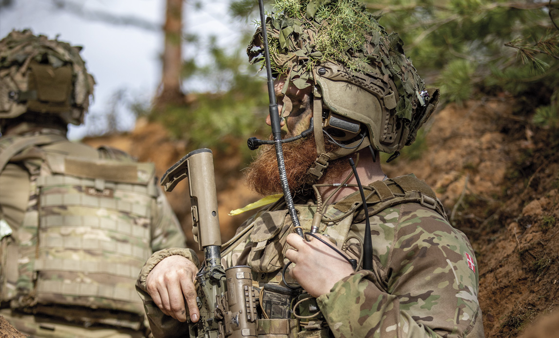 Dansk soldat i Estland