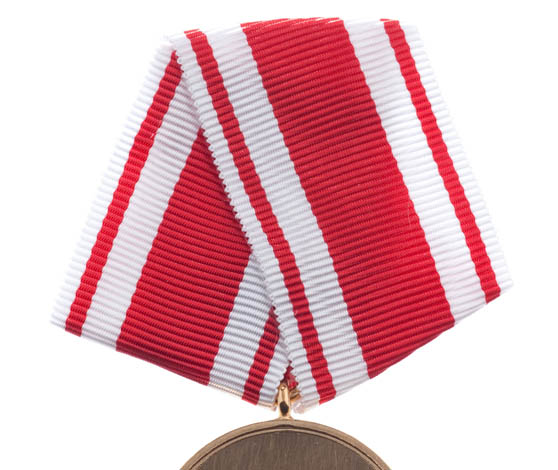 Med Forsvarsministeriets Medalje kan ministeren bl.a. anerkende medarbejdere, der har ydet en frygtløs indsats eller er kommet alvorligt til skade under tjenesten.
