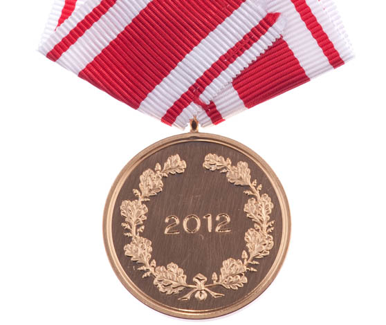 Med Forsvarsministeriets Medalje kan ministeren bl.a. anerkende medarbejdere, der har ydet en frygtløs indsats eller er kommet alvorligt til skade under tjenesten.